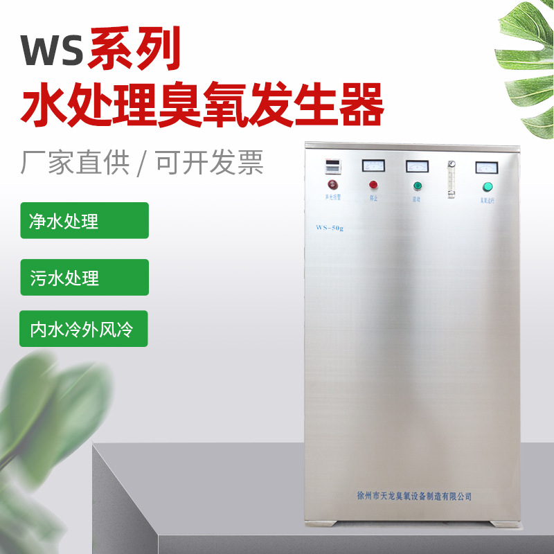 WS系列水處理臭氧發生器